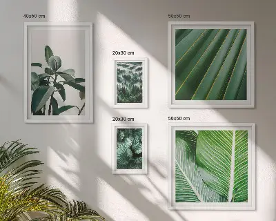 Bildergalerieset für die Wand mit Motiven von tropischen Pflanzen