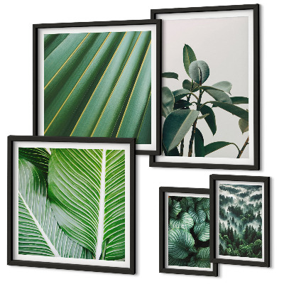 Bildergalerie-set für die wand Inspirationen durch tropische Pflanzen