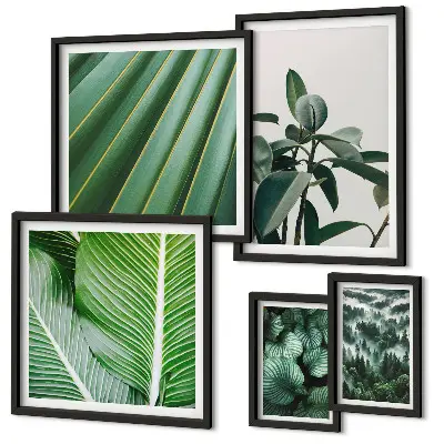 Bildergalerieset für die Wand mit Motiven von tropischen Pflanzen