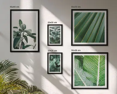 Bildergalerieset für die Wand mit Motiven von tropischen Pflanzen