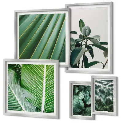 Bildergalerieset für die Wand mit Motiven von tropischen Pflanzen