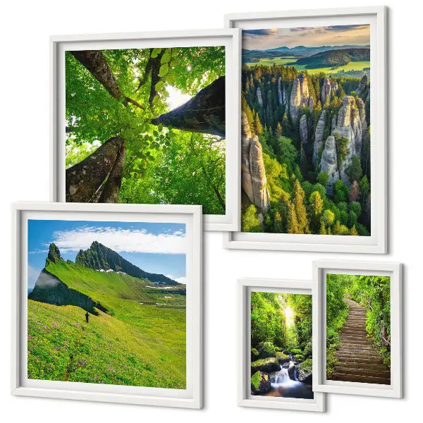 Bildergalerien-Set für die Wand mit Motiven grüner Naturlandschaften und Waldwegen