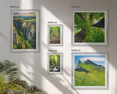 Bildergalerien-Set für die Wand mit Motiven grüner Naturlandschaften und Waldwegen