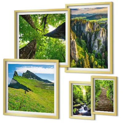 Bildergalerien-Set für die Wand mit Motiven grüner Naturlandschaften und Waldwegen