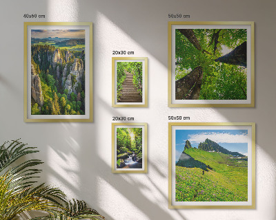 Bildergalerie-set für die wand Grüne Landschaften Naturwege