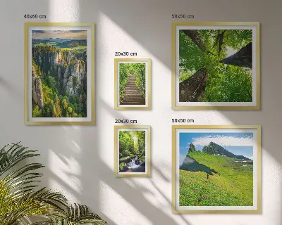 Bildergalerien-Set für die Wand mit Motiven grüner Naturlandschaften und Waldwegen
