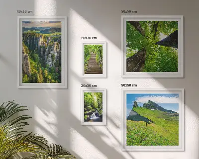 Bildergalerien-Set für die Wand mit Motiven grüner Naturlandschaften und Waldwegen