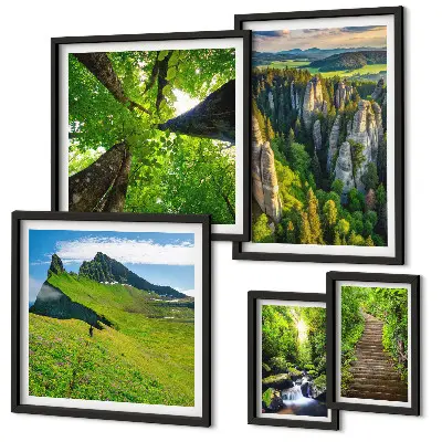 Bildergalerien-Set für die Wand mit Motiven grüner Naturlandschaften und Waldwegen