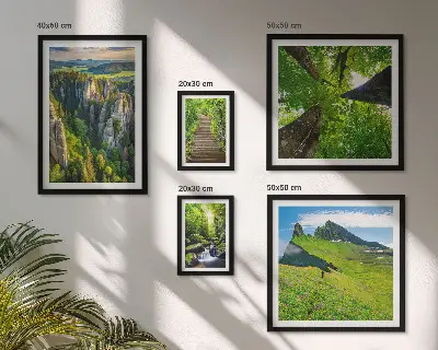 Bildergalerien-Set für die Wand mit Motiven grüner Naturlandschaften und Waldwegen