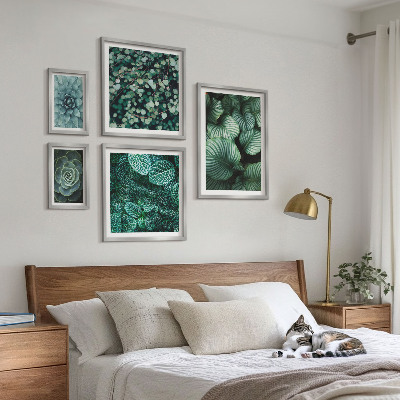 Bilderset fürs sofa Pflanzenblätter Sukkulenten Natur