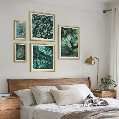 Bilderset fürs sofa Pflanzenblätter Sukkulenten Natur