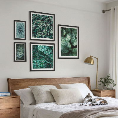 Bilderset fürs sofa Pflanzenblätter Sukkulenten Natur