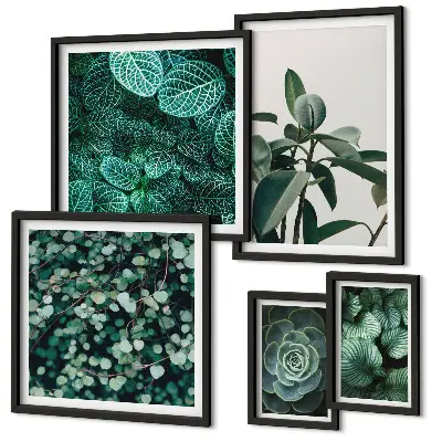Bildergalerien-Set für die Wand mit botanischen Motiven grüner Blätter