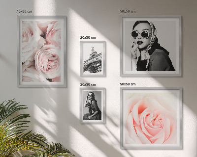 Bildergalerie-set für die wand Stilvolle Porträts von Rosen auf elegante Weise