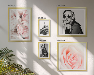 Bildergalerie-set für die wand Stilvolle Porträts von Rosen auf elegante Weise