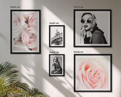 Bildergalerie-set für die wand Stilvolle Porträts von Rosen auf elegante Weise