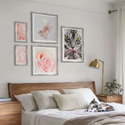 Bilderset fürs sofa Katzenrosen in zarten Farbtönen