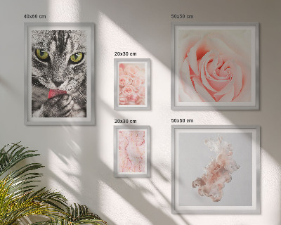 Bilderset fürs sofa Katzenrosen in zarten Farbtönen