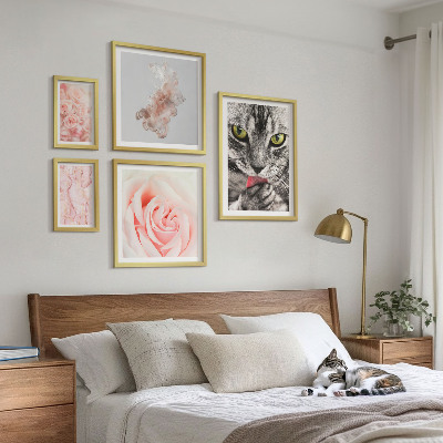 Bilderset fürs sofa Katzenrosen in zarten Farbtönen