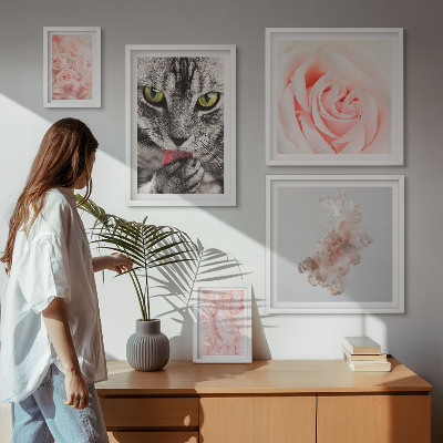 Bilderset fürs sofa Katzenrosen in zarten Farbtönen