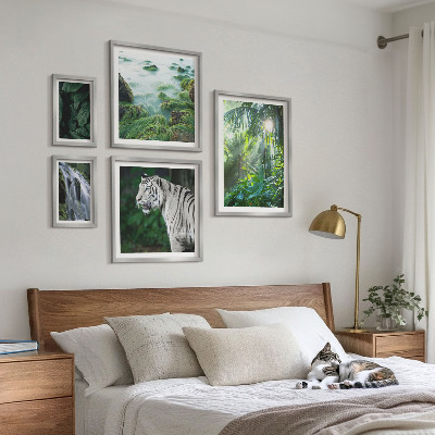 Bilderset fürs sofa Tropische Naturtiere
