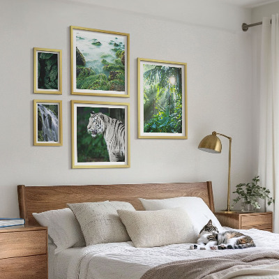 Bilderset fürs sofa Tropische Naturtiere