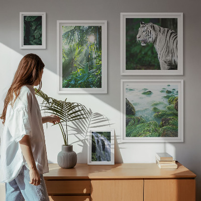 Bilderset fürs sofa Tropische Naturtiere