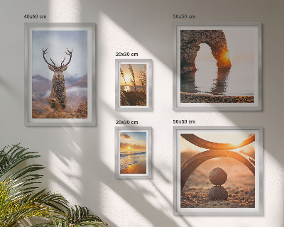 Bildergalerie-set für die wand Natur, Wildtiere, harmonisch