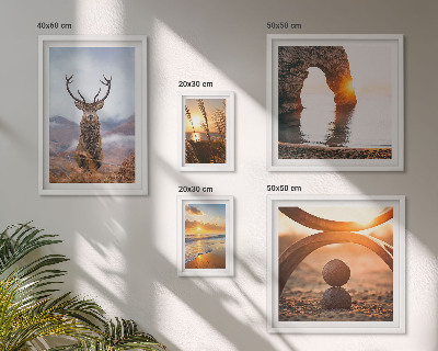 Bildergalerie-set für die wand Natur, Wildtiere, harmonisch