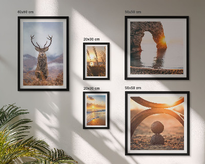 Bildergalerie-set für die wand Natur, Wildtiere, harmonisch