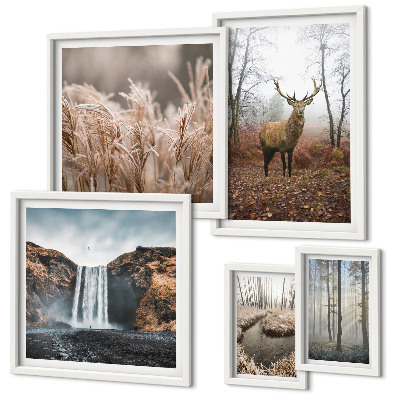 Bildergalerie-set für die wand Wildtierlandschaften