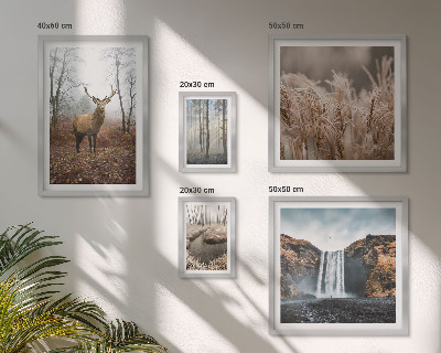 Bildergalerie-set für die wand Wildtierlandschaften