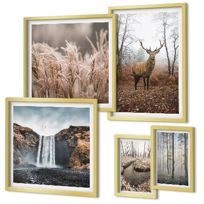 Bildergalerie-set für die wand Wildtierlandschaften
