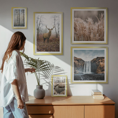 Bildergalerie-set für die wand Wildtierlandschaften