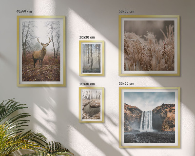 Bildergalerie-set für die wand Wildtierlandschaften