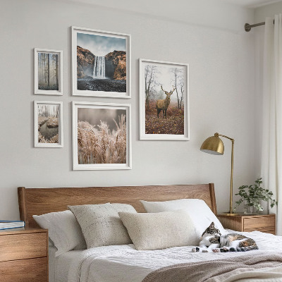 Bildergalerie-set für die wand Wildtierlandschaften
