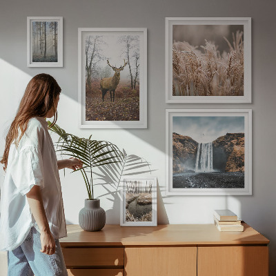 Bildergalerie-set für die wand Wildtierlandschaften