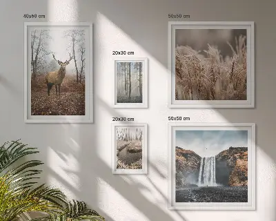 Bildergalerie-Set für die Wand mit Wildtierlandschaften