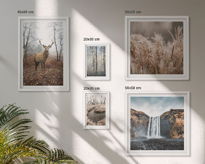 Bildergalerie-set für die wand Wildtierlandschaften