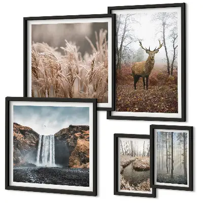 Bildergalerie-Set für die Wand mit Wildtierlandschaften