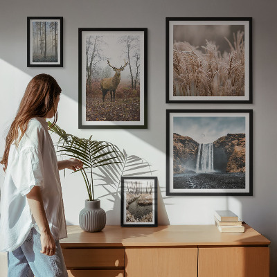 Bildergalerie-set für die wand Wildtierlandschaften