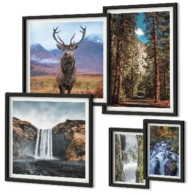 Modernes Wandbilder-Set mit Motiven von Landschaften, Wasserfällen und der Natur