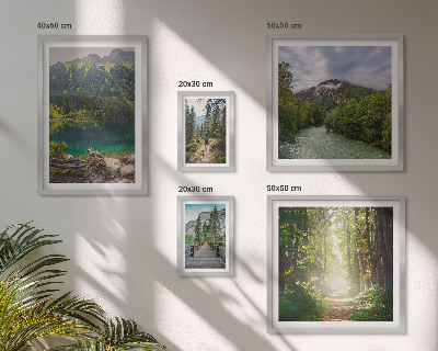 Bildergalerie-set für die wand Berglandschaften und Waldwege