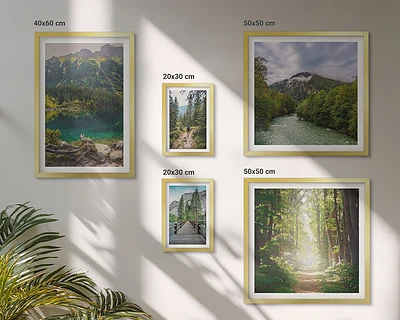 Wandbilder-Set mit Berglandschaften und Waldwegen