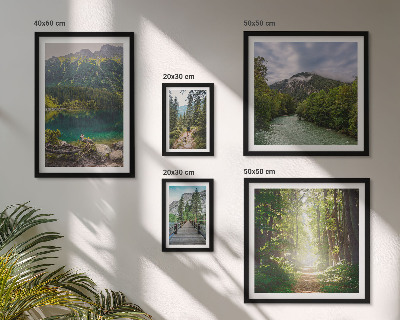 Bildergalerie-set für die wand Berglandschaften und Waldwege