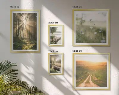 Bilderset fürs Sofa mit Waldlandschaften bei Sonne und Wasser
