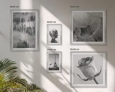 Bilderset fürs Sofa mit Natur- und Stadtmotiven in Schwarz-Weiß
