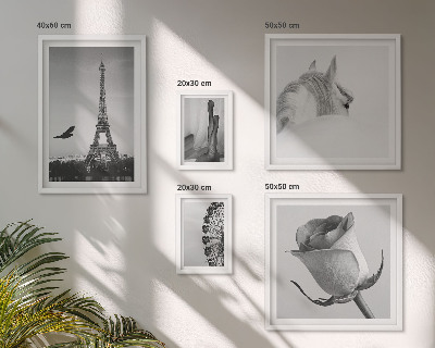 Modernes wandbilder-set Stilvolle Schwarz-Weiß-Bilder