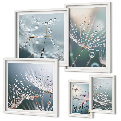 Bildergalerie-set für die wand Tautropfen minimalistische Pflanzen