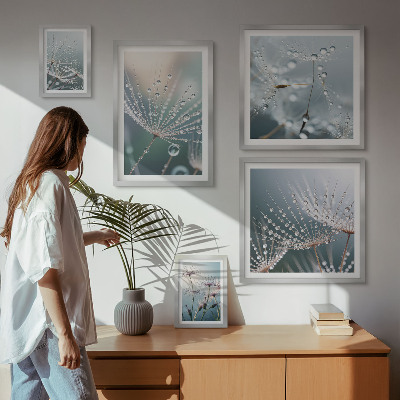 Bildergalerie-set für die wand Tautropfen minimalistische Pflanzen
